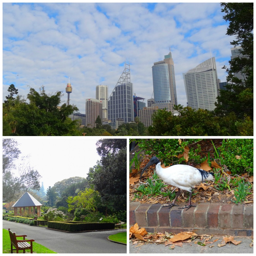 Collage Royal Botanic Gardens Sydney 